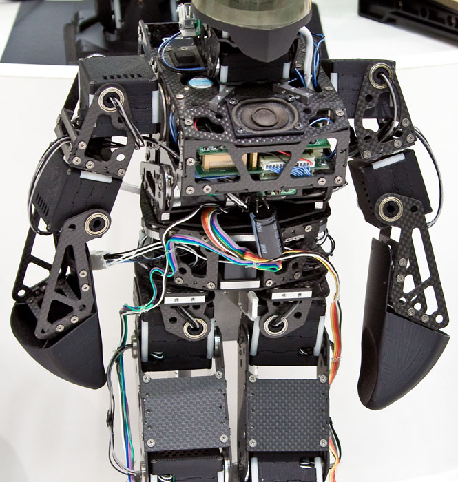 Detail of Robot