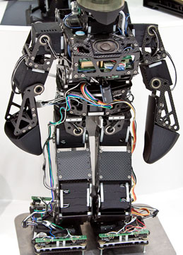 Detail of Robot