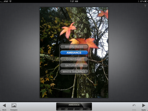 Snapseed for iPad