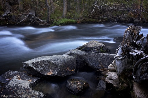 Flowing Water - Sierra