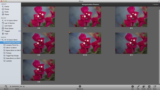 iphoto_interface.jpg