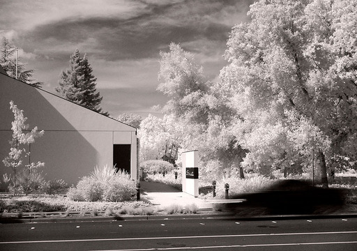 Infrared with FujiFilm X20