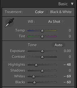 lightroom-basic-panel.jpg